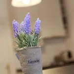 Apartment Strada Muresenilor - Savas