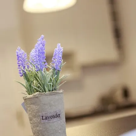 Strada Muresenilor - Savas Appartement *