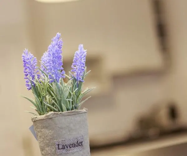 Strada Muresenilor - Savas Apartament *