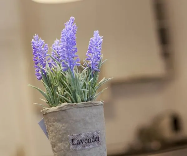 Apartment Strada Muresenilor - Savas